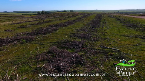 DOS EÓLICOS VIRA P FAZENDA_Moment.00_01_26_08.Quadro322_b6f9979655bb30320f9f60f4728d0081d71dc8f2.jpg